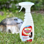 Фото 2 Chengso очиститель грилей и коптилен 500 мл