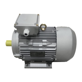 Фото Электродвигатель IMM112